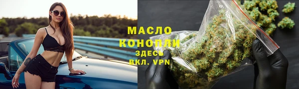 гидра Билибино