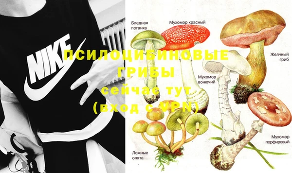 MDMA Нефтегорск