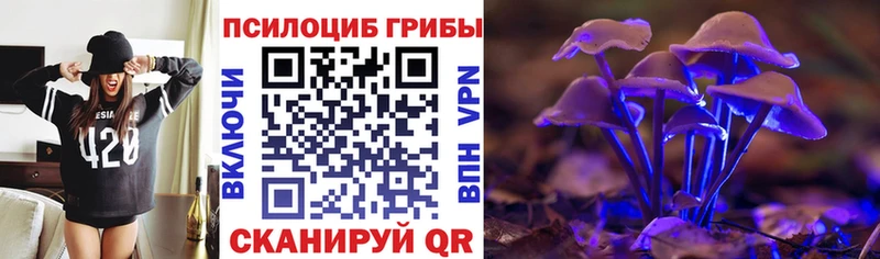 Галлюциногенные грибы Magic Shrooms  kraken зеркало  Холмск 